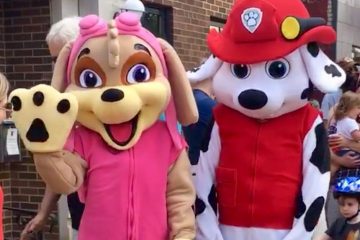 pup patrol costumes