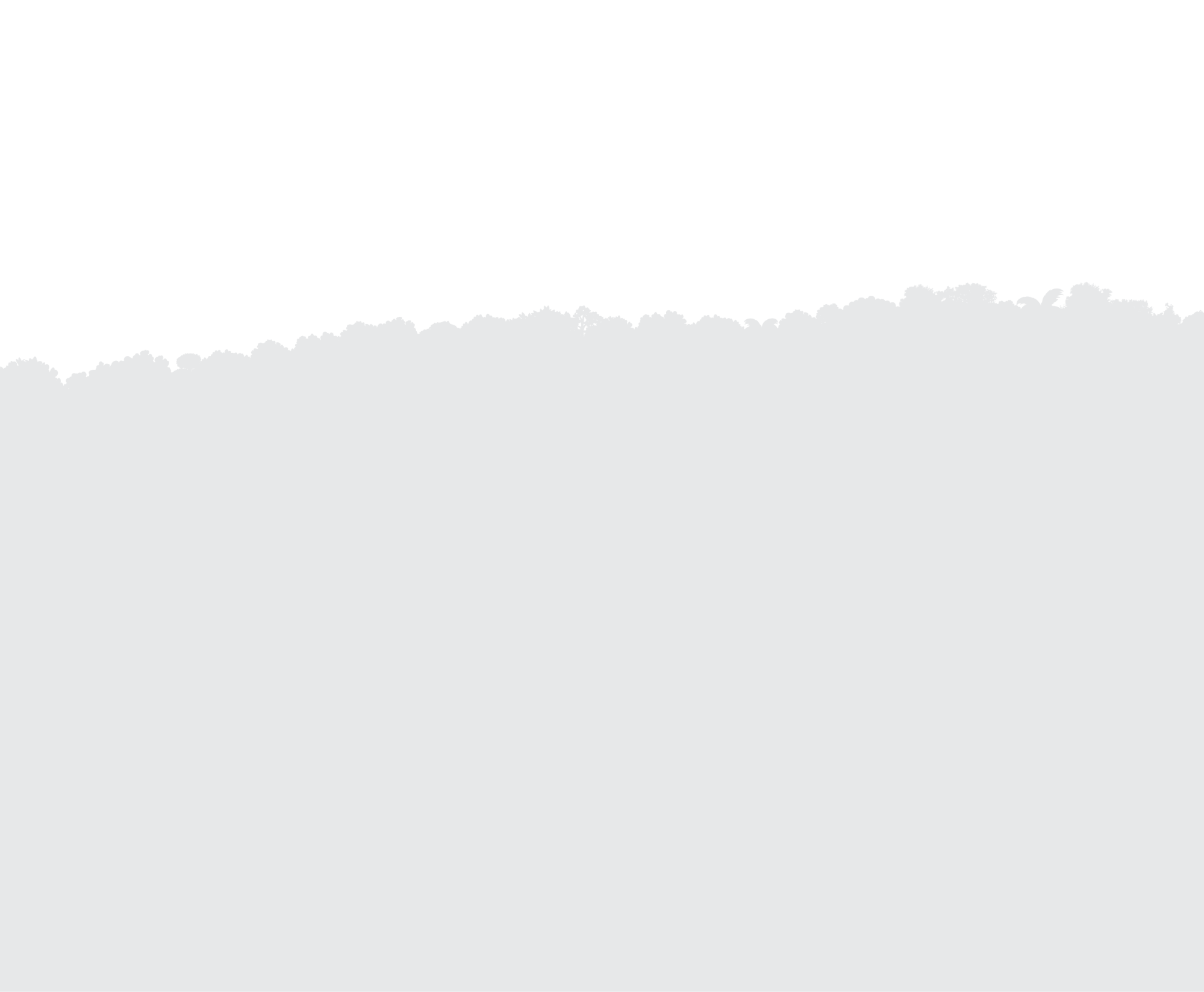 a close up of a logo